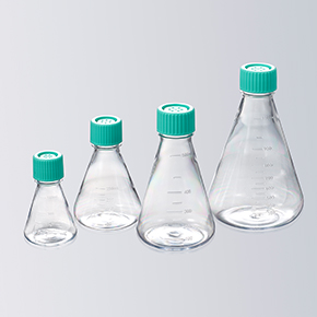 Erlenmeyer Flasks