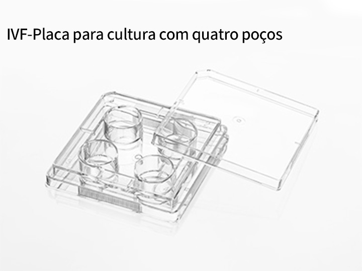 Congelamento/descongelamento de embriões; cultura in vitro de embriões