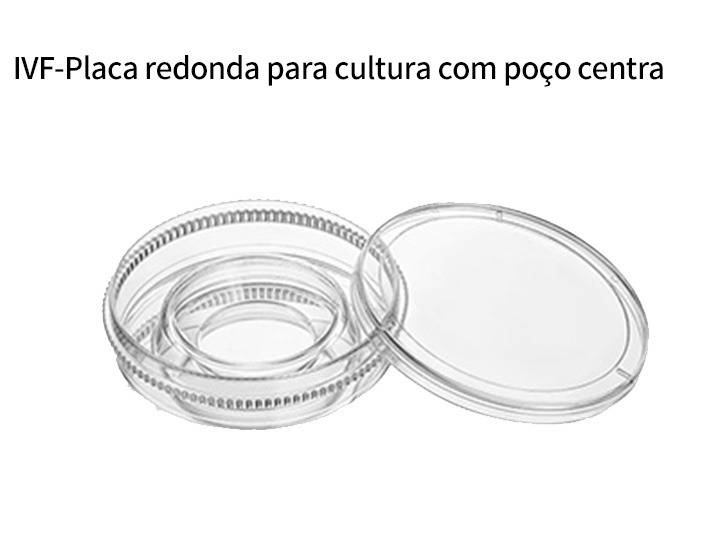 Descongelamento de embriões congelados para restaurar sua atividade biológica; cultura in vitro de embriões