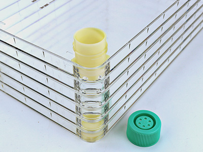 Cell factory (Large-mouth Embedded Ports)